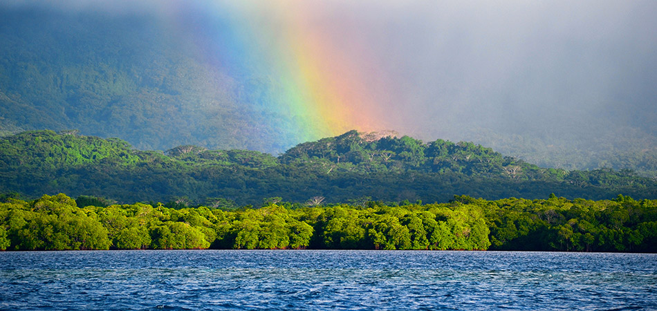 Annual watercycle