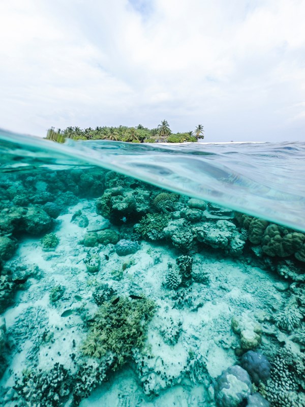 ishan-seefromthesky-8qEuawM_txg-unsplash