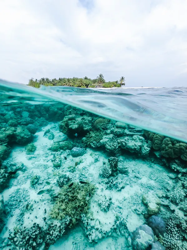 ishan-seefromthesky-8qEuawM_txg-unsplash