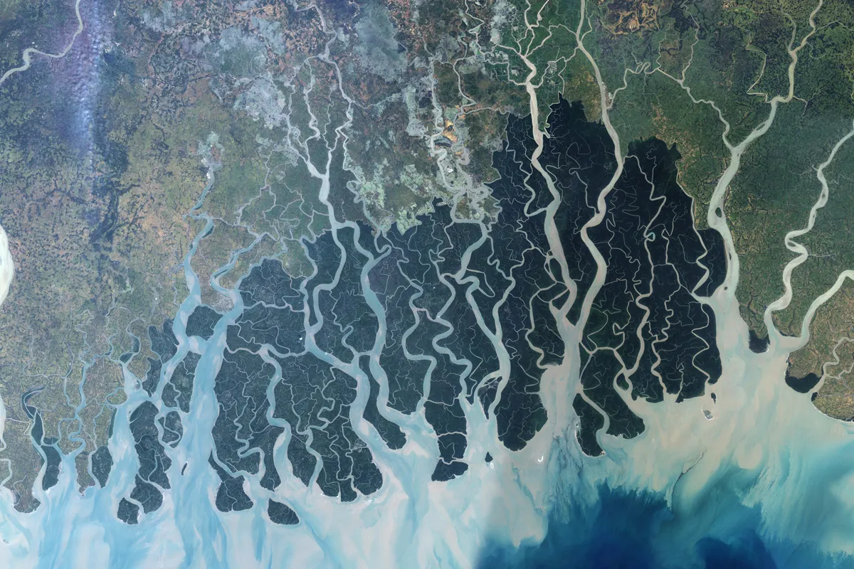 sundarban_l7_2000331_lrg